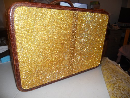 Amelia earhart luggage - earhart, ~